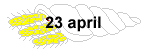 23 april 2005