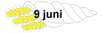 9 juni 2005
