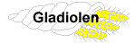 gladiolen
