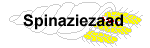 spinaziezaad