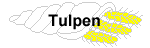 tulpen