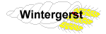 wintergerst