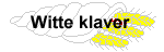 witte klaver